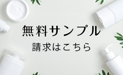 人気商品一覧