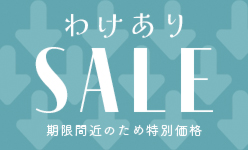 数量限定特別価格
