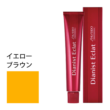 【資生堂プロフェッショナル ディアニスト エクラ 80g】