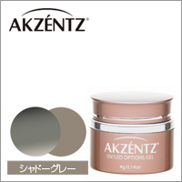 【アクセンツ UL 069 シャドーグレー 4g】