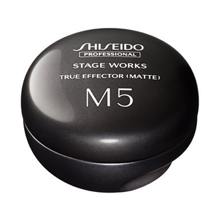 【資生堂プロフェッショナル ステージワークス トゥルーエフェクター(マット)80g】