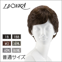 【レオンカ DX-109】