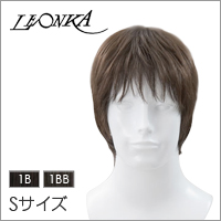 【レオンカ MW-300S】