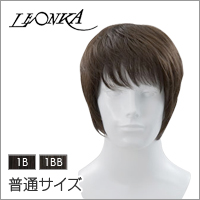 【レオンカ MW-301】