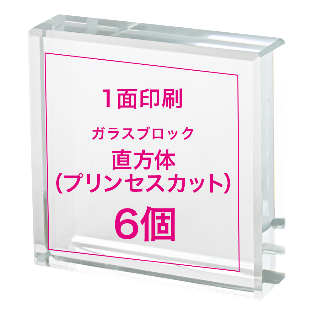 【オリジナルプリント ガラスブロック 直方体（プリンセスカット） 6個】